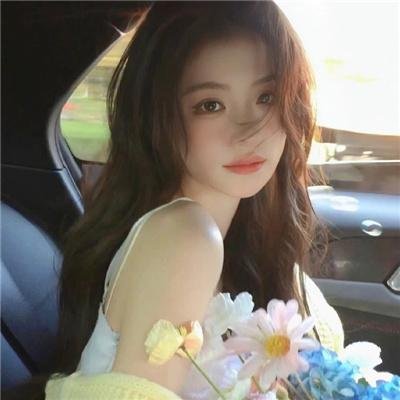 月季花开